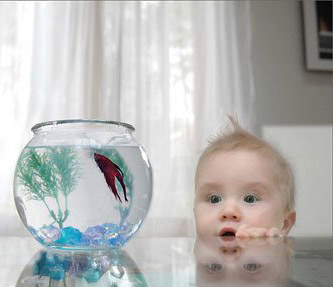 Малыш и аквариум