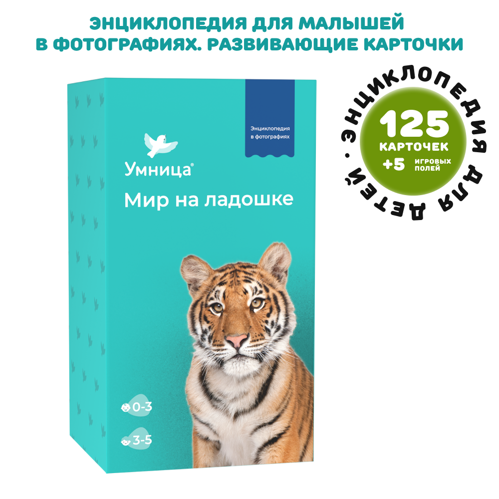Умница® Полная программа развития ребёнка с рождения и до школы