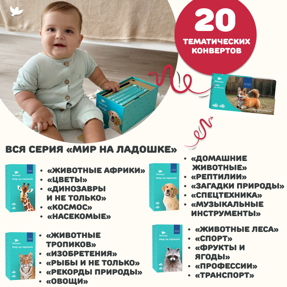 Умница® Мир на ладошке. Выпуск Тигр