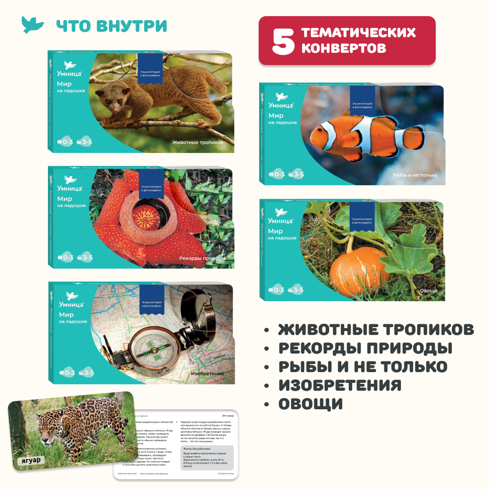 Умница® Мир на ладошке. Выпуск Тигр
