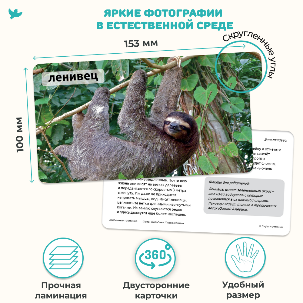 Умница® Мир на ладошке. Выпуск Тигр