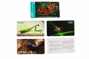 Умница®️. СНЯТ С ПРОДАЖИ! Мир на ладошке. Выпуск 2