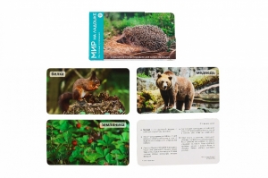 Умница®️. СНЯТ С ПРОДАЖИ! Мир на ладошке. Выпуск 2