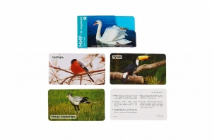 Умница®️. СНЯТ С ПРОДАЖИ! Мир на ладошке. Выпуск 2