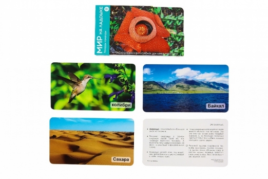 Умница®️. СНЯТ С ПРОДАЖИ! Мир на ладошке. Выпуск 2