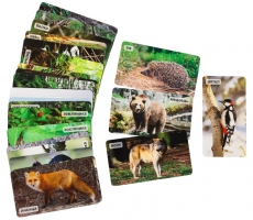 СНЯТ С ПРОДАЖИ!  Умница. Мир на ладошке. На лесных тропинках. Развивающие карточки