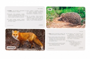 СНЯТ С ПРОДАЖИ!  Умница. Мир на ладошке. На лесных тропинках. Развивающие карточки