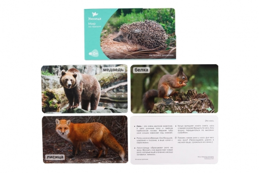 СНЯТ С ПРОДАЖИ!  Умница. Мир на ладошке. На лесных тропинках. Развивающие карточки