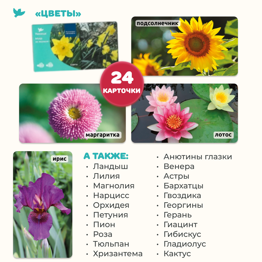 Умница® Мир на ладошке. Выпуск Жираф - СНЯТ С ПРОДАЖИ