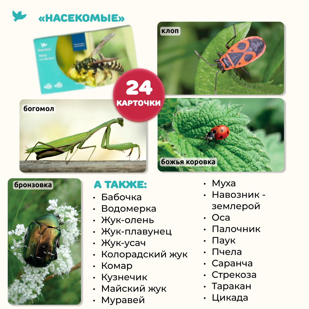 Умница® Мир на ладошке. Выпуск Жираф - СНЯТ С ПРОДАЖИ