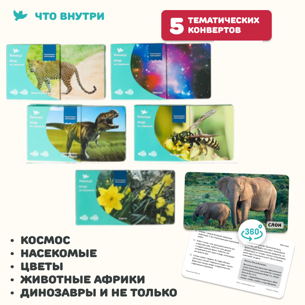 Умница® Мир на ладошке. Выпуск Жираф - СНЯТ С ПРОДАЖИ