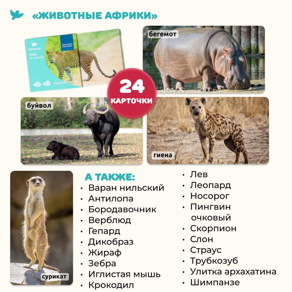 Умница® Мир на ладошке. Выпуск Жираф - СНЯТ С ПРОДАЖИ