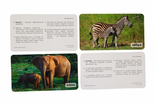 СНЯТ С ПРОДАЖИ! Умница. Мир на ладошке. Дикие животные