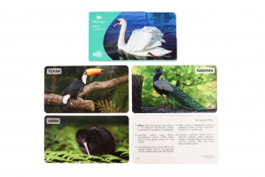 СНЯТ С ПРОДАЖИ! Умница. Мир на ладошке. Птицы