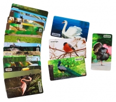 СНЯТ С ПРОДАЖИ! Умница. Мир на ладошке. Птицы