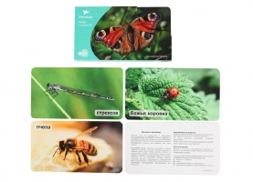 СНЯТ С ПРОДАЖИ!  Умница. Мир на ладошке. На шести лапках