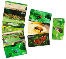 СНЯТ С ПРОДАЖИ!  Умница. Мир на ладошке. На шести лапках