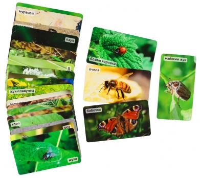 СНЯТ С ПРОДАЖИ!  Умница. Мир на ладошке. На шести лапках