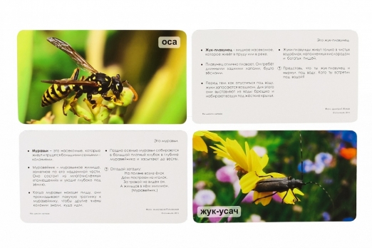 СНЯТ С ПРОДАЖИ!  Умница. Мир на ладошке. На шести лапках