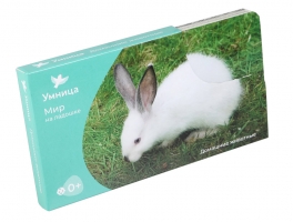 СНЯТ С ПРОДАЖИ!  Умница. Мир на ладошке. Домашние животные