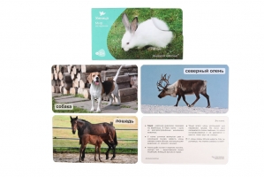 СНЯТ С ПРОДАЖИ!  Умница. Мир на ладошке. Домашние животные