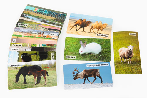 СНЯТ С ПРОДАЖИ!  Умница. Мир на ладошке. Домашние животные