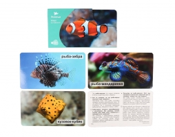 Умница. Мир на ладошке. Рыбы