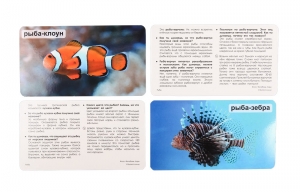 Умница. Мир на ладошке. Рыбы