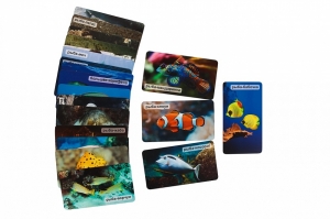 Умница. Мир на ладошке. Рыбы