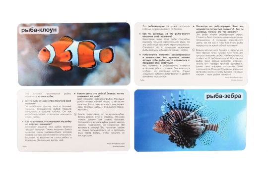 Умница. Мир на ладошке. Рыбы