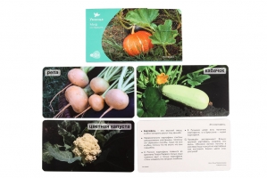 СНЯТ С ПРОДАЖИ!  Умница®️. Мир на ладошке. На грядке. Развивающие карточки