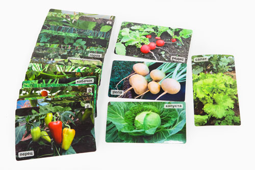 СНЯТ С ПРОДАЖИ!  Умница®️. Мир на ладошке. На грядке. Развивающие карточки