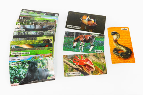 Умница® Мир на ладошке «Джунгли»