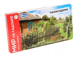СНЯТ С ПРОДАЖИ!   Умница. Мир на ладошке. Город и деревня