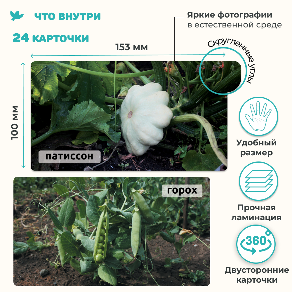 СНЯТ С ПРОДАЖИ!  Умница®️ Мир на ладошке. Энциклопедия для малышей в фотографиях. Овощи