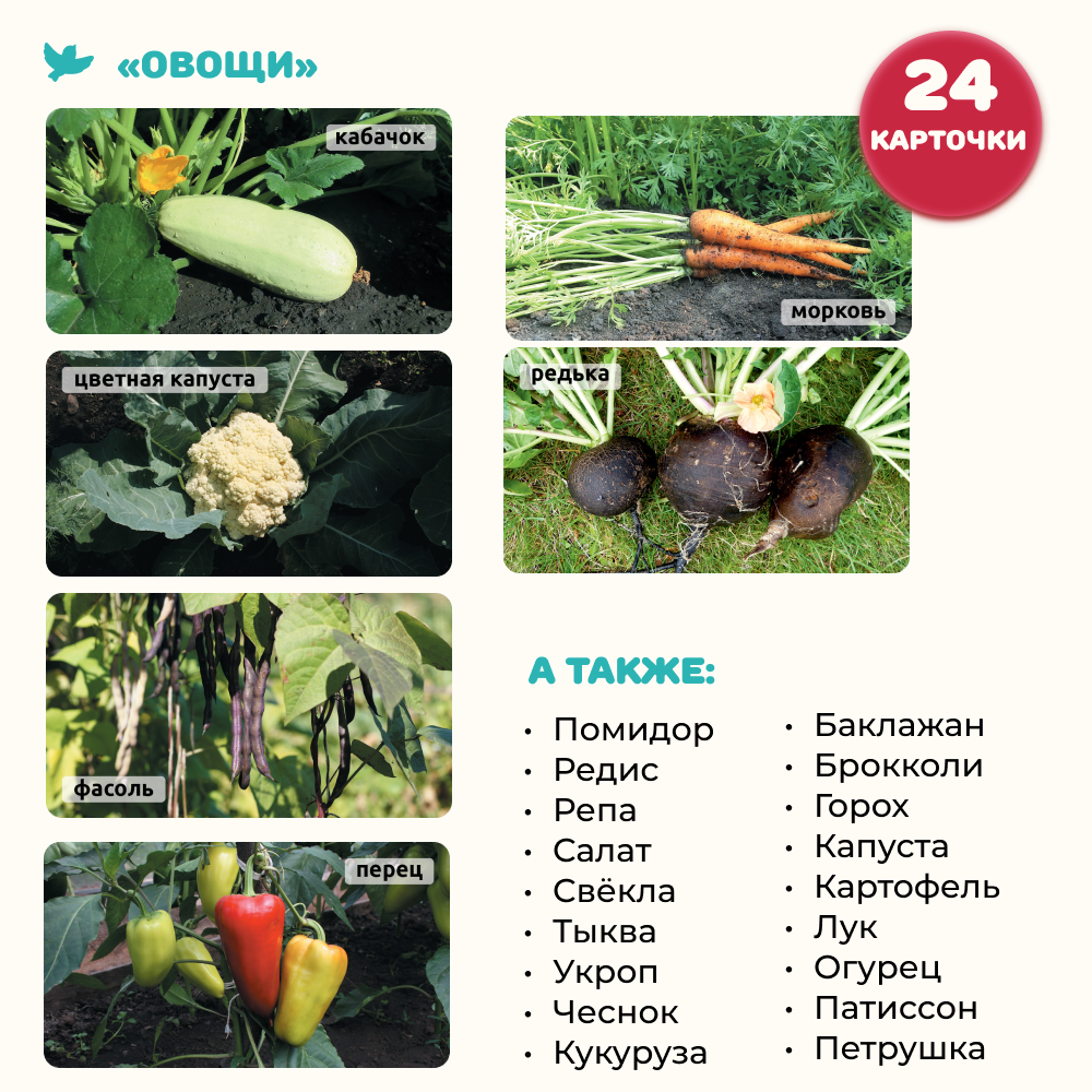 СНЯТ С ПРОДАЖИ!  Умница®️ Мир на ладошке. Энциклопедия для малышей в фотографиях. Овощи