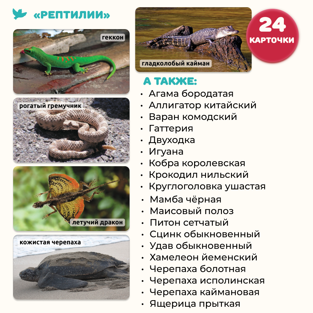 Умница® Мир на ладошке «Рептилии»