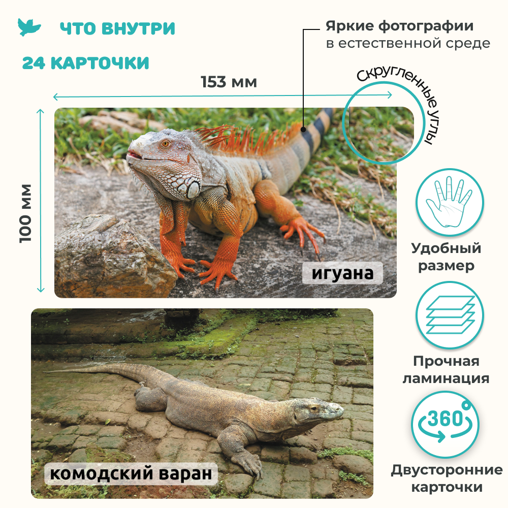 Умница® Мир на ладошке «Рептилии»