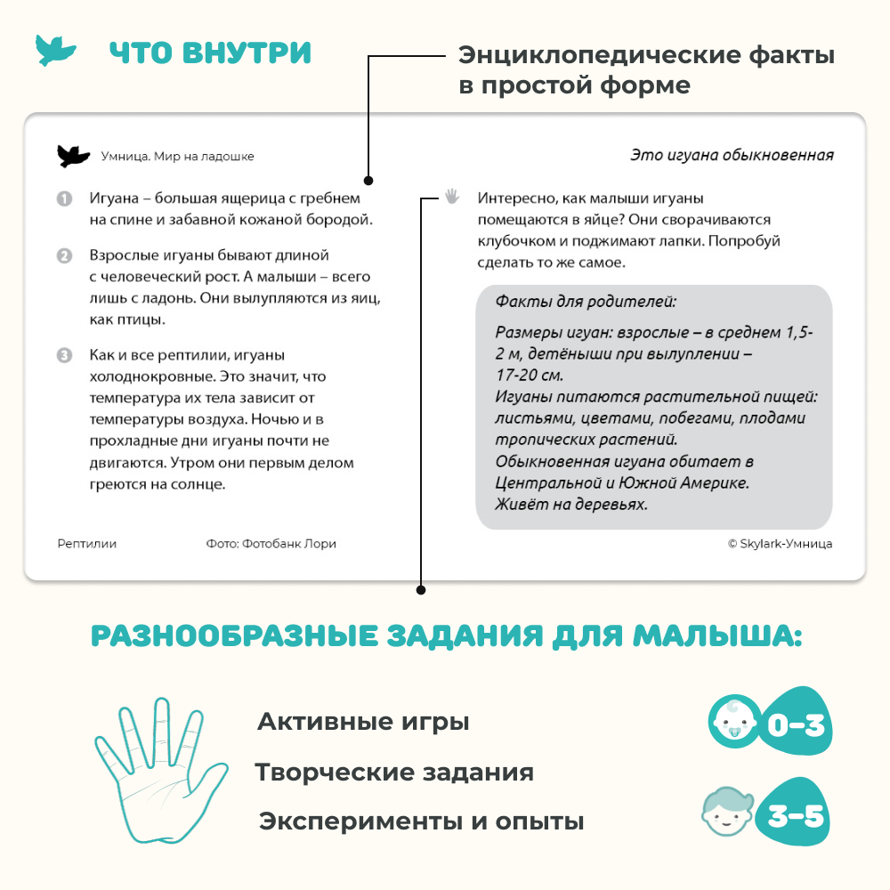 Умница® Мир на ладошке «Рептилии»