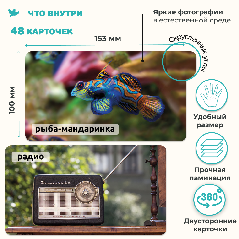 Умница® Мир на ладошке 2в1: «Изобретения» и «Рыбы и не только»