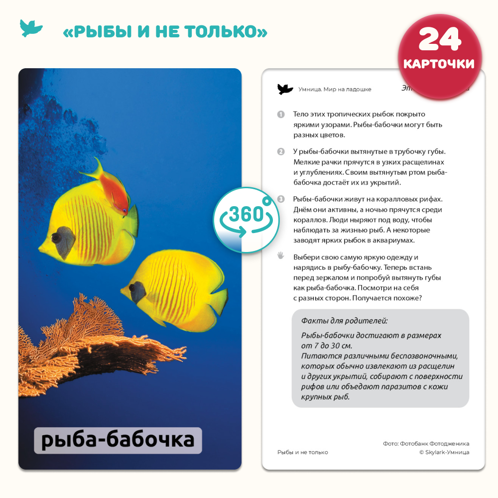 Умница® Мир на ладошке 2в1: «Изобретения» и «Рыбы и не только»