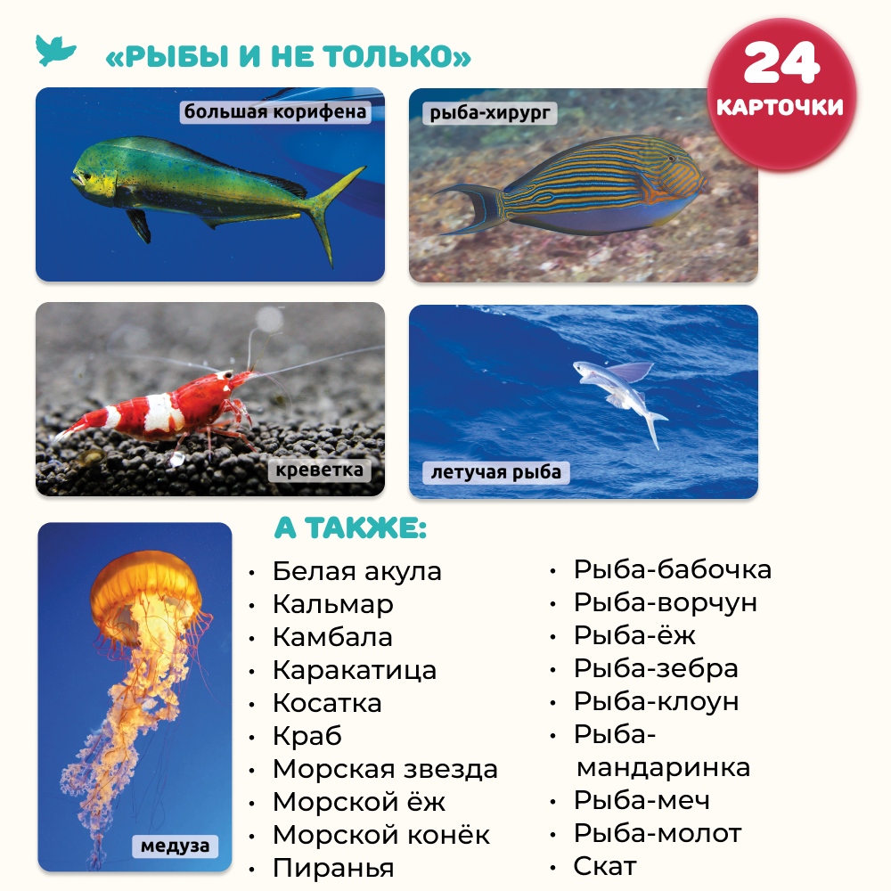 Умница® Мир на ладошке 2в1: «Изобретения» и «Рыбы и не только»