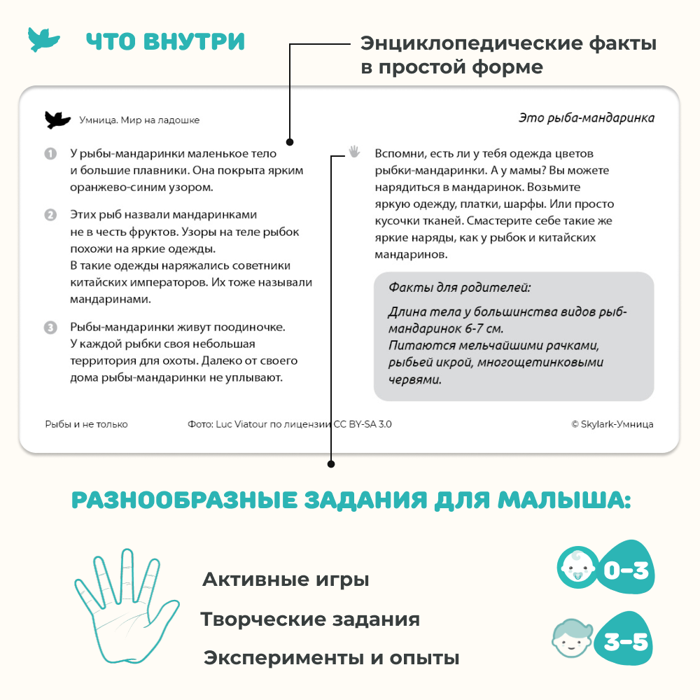 Умница® Мир на ладошке 2в1: «Изобретения» и «Рыбы и не только»