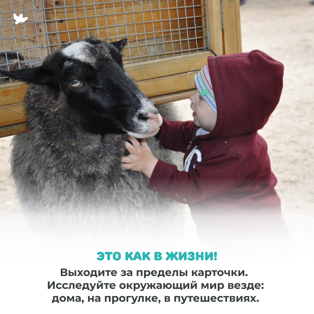 СНЯТ С ПРОИЗВОДСТВА! Умница® Мир на ладошке 2в1: «Загадки природы» и «Спецтехника»