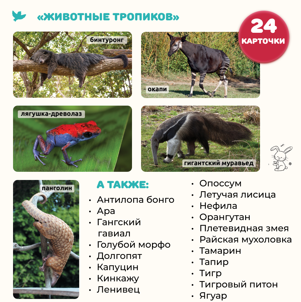 Умница® Мир на ладошке. Детская энциклопедия в фотографиях. Животные тропиков и Рекорды природы