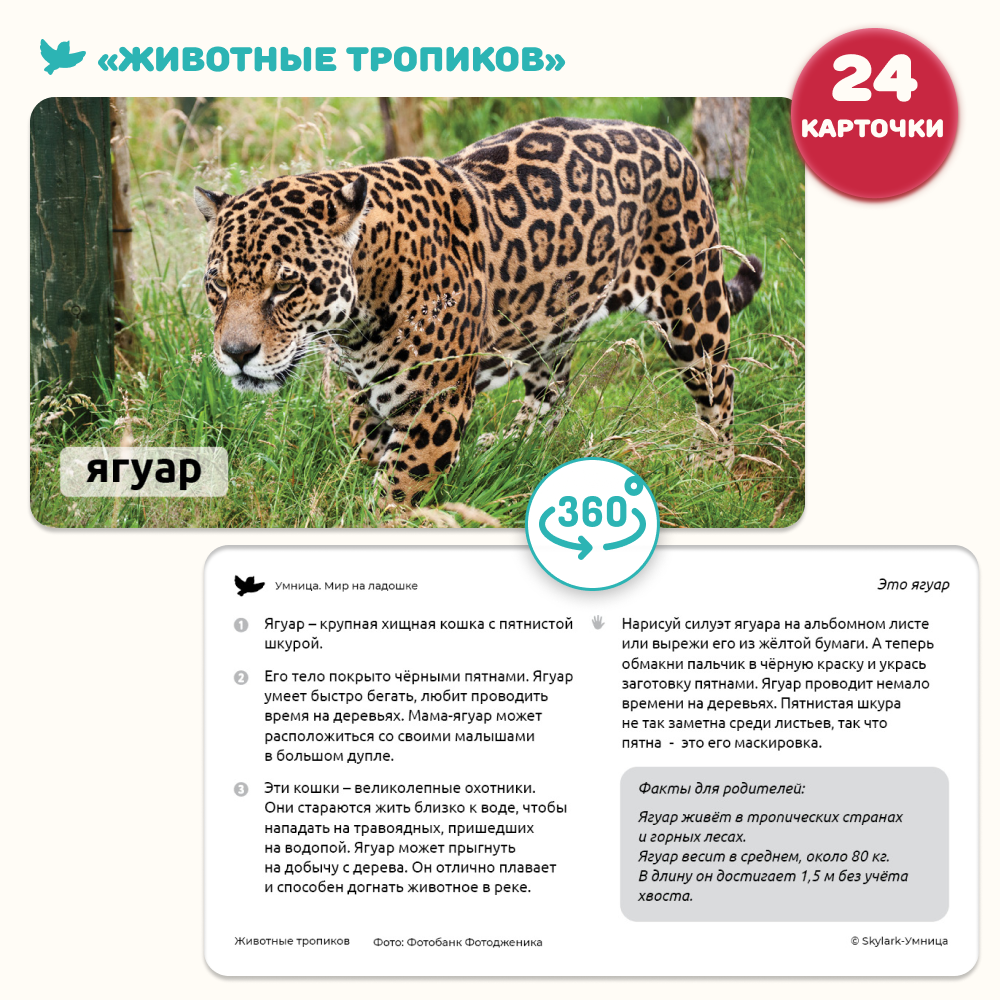 Умница® Мир на ладошке. Детская энциклопедия в фотографиях. Животные тропиков и Рекорды природы