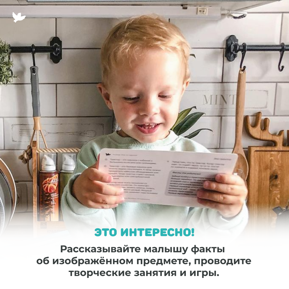 Умница® Мир на ладошке. Детская энциклопедия в фотографиях. Животные тропиков и Рекорды природы