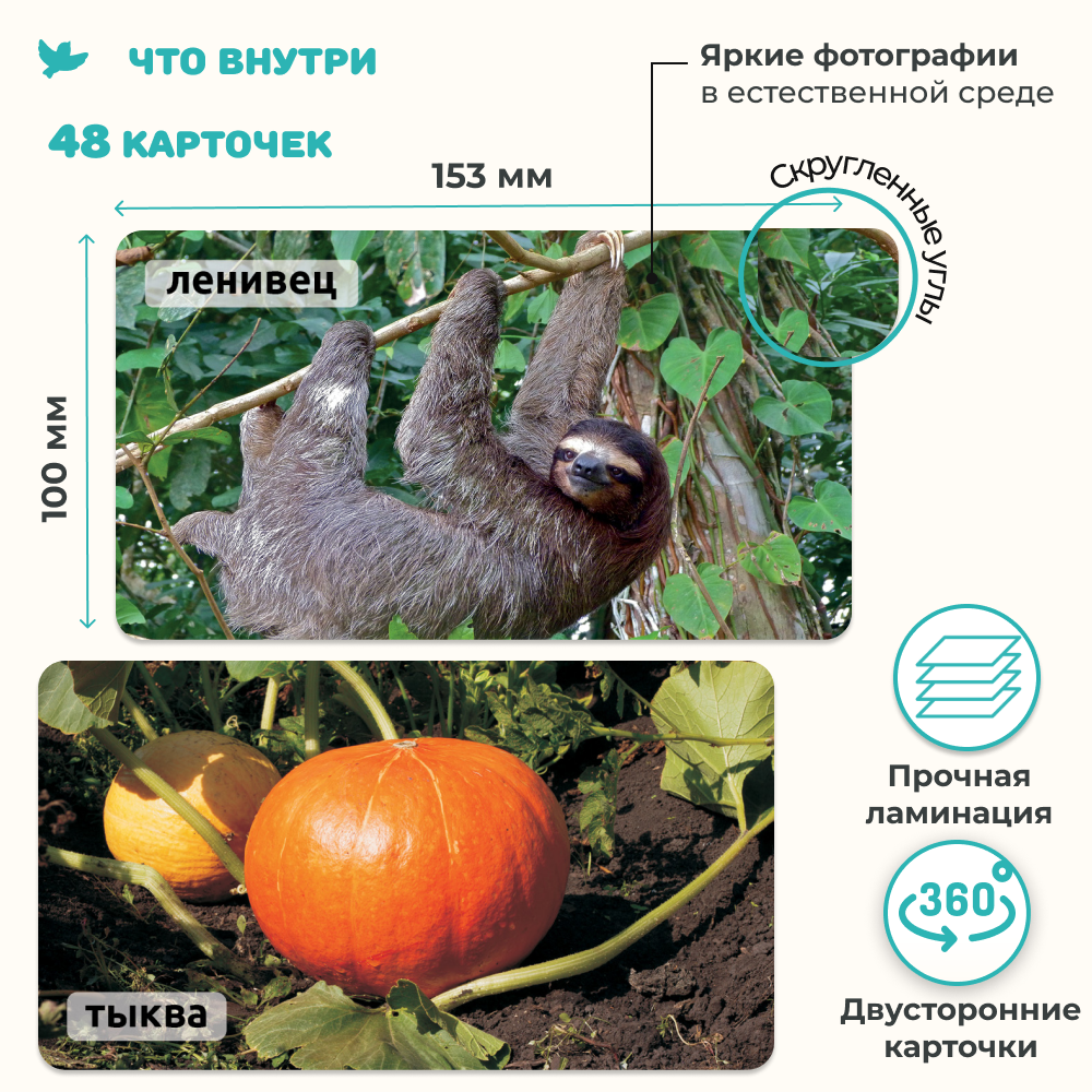 Умница® Мир на ладошке. Детская энциклопедия в фотографиях. Животные тропиков и Рекорды природы